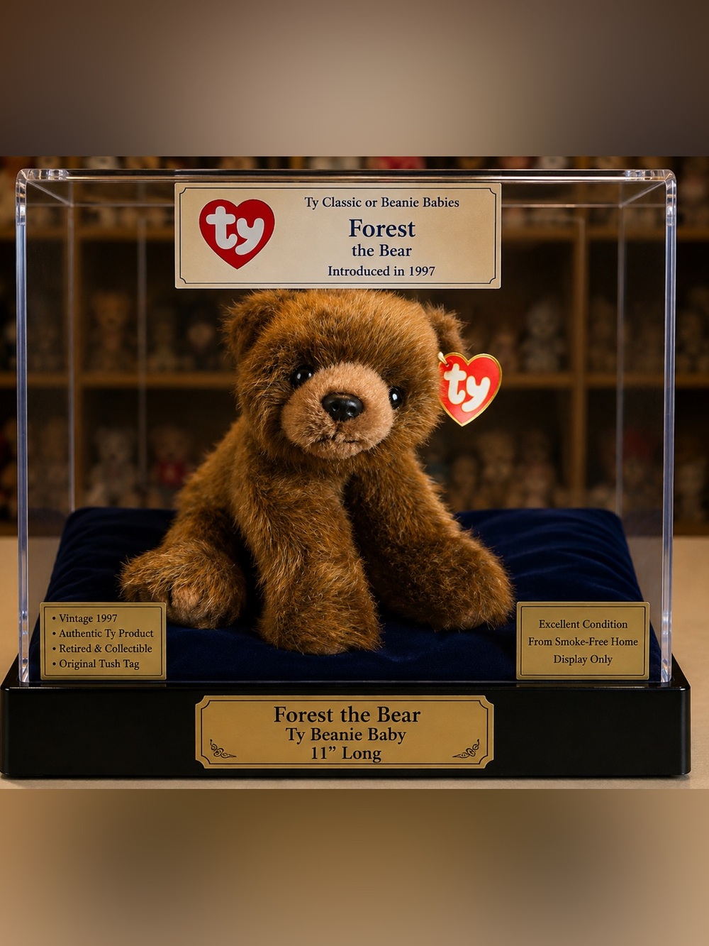 Ty Forest the Bear Plush - Brown